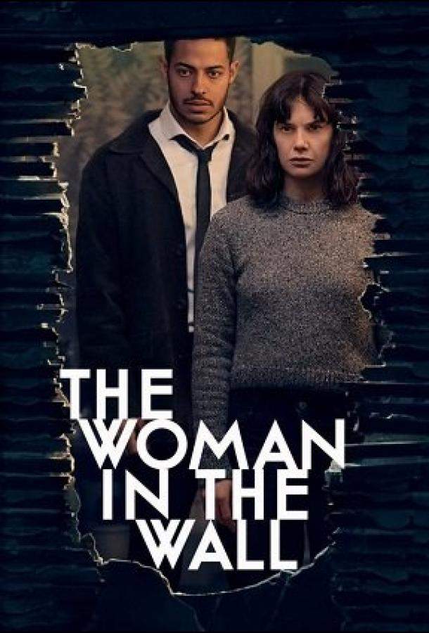Постер сериала Женщина в стене