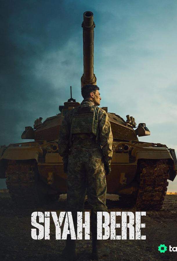 Постер сериала Чёрный берет