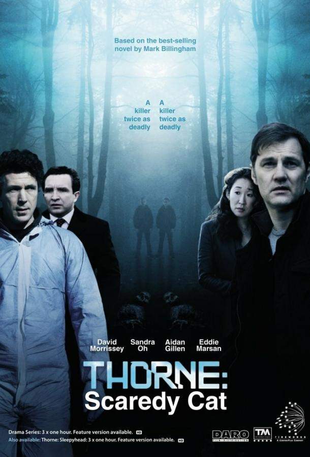 Постер сериала Торн: Пуганая ворона
