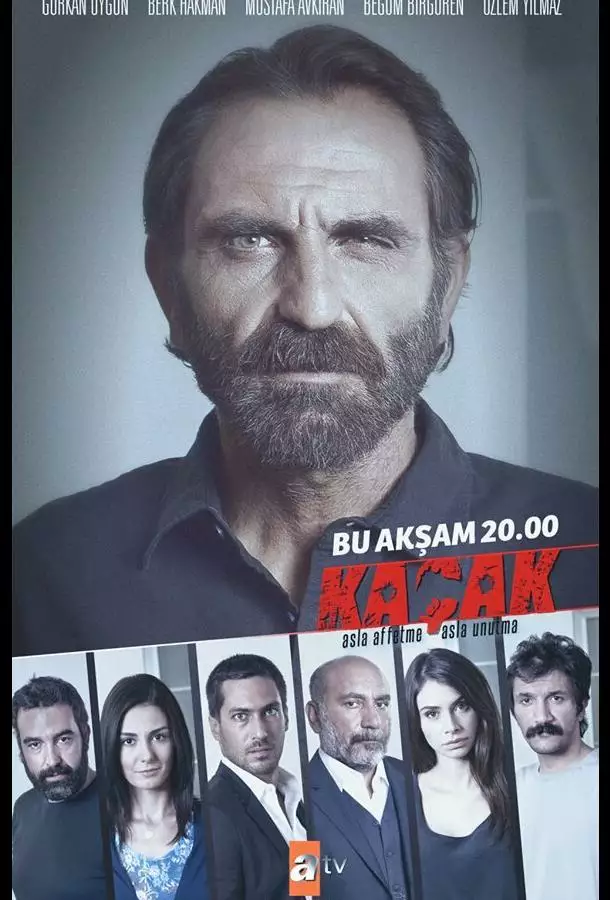 Постер сериала Беглец