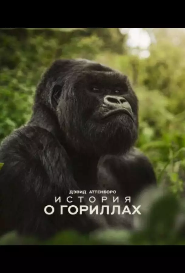 Постер сериала Дэвид Аттенборо. История о гориллах