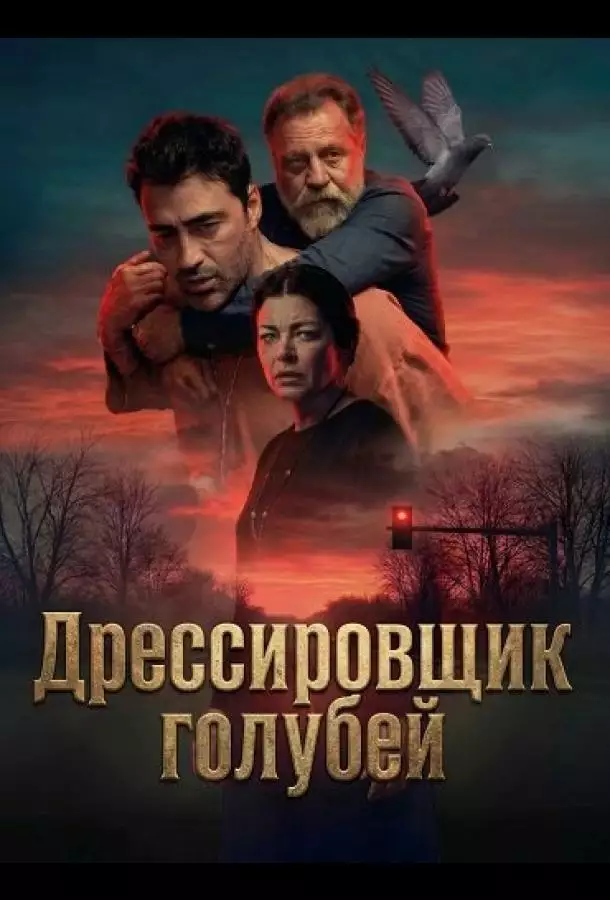 Дрессировщик голубей