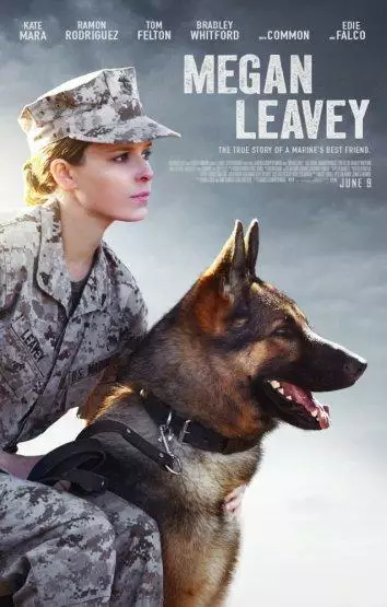 Постер сериала Меган Ливи