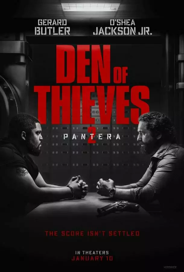 Постер сериала Охота на воров 2: Пантера