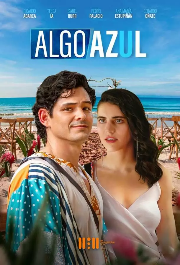 Постер сериала Что-то голубое
