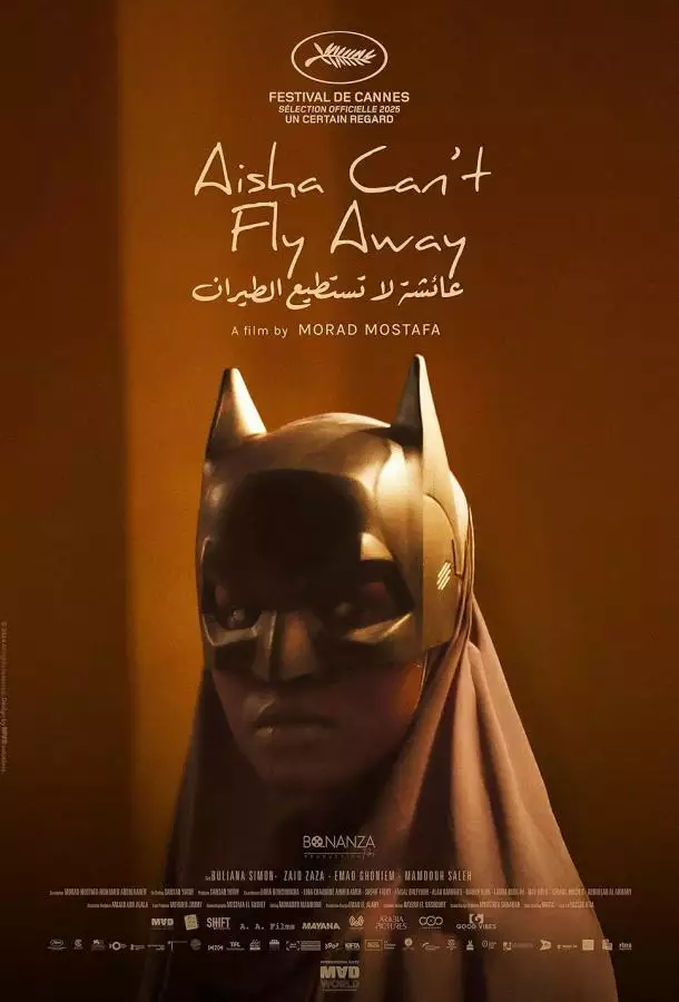 Постер сериала Айша не может улететь