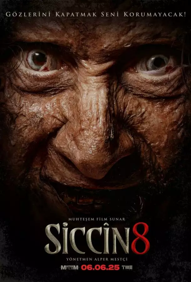 Постер сериала Сиджин 8