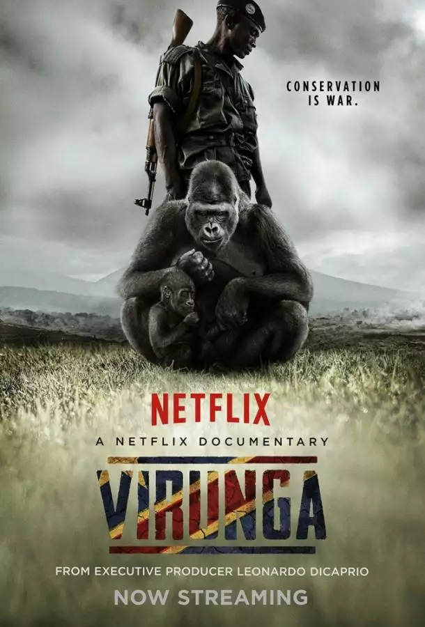 Постер сериала Вирунга