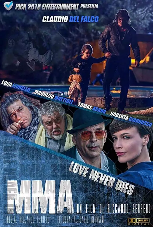 Постер сериала Финальный бой