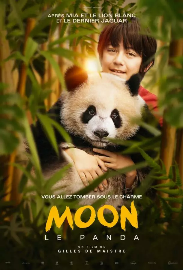 Постер сериала Моя панда