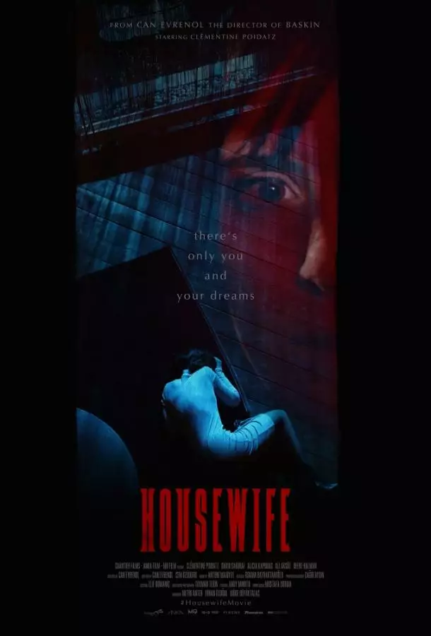Постер сериала Домохозяйка