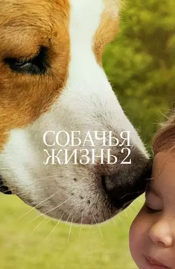 Постер сериала Собачья жизнь 2