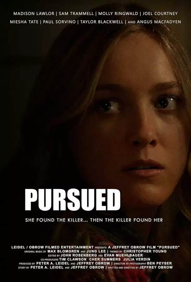 Постер сериала Преследуемая