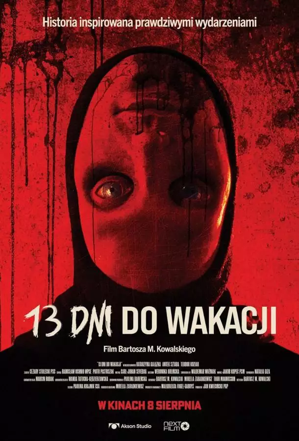 Постер сериала 13 дней до каникул