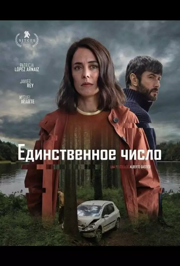 Постер сериала Единственное число