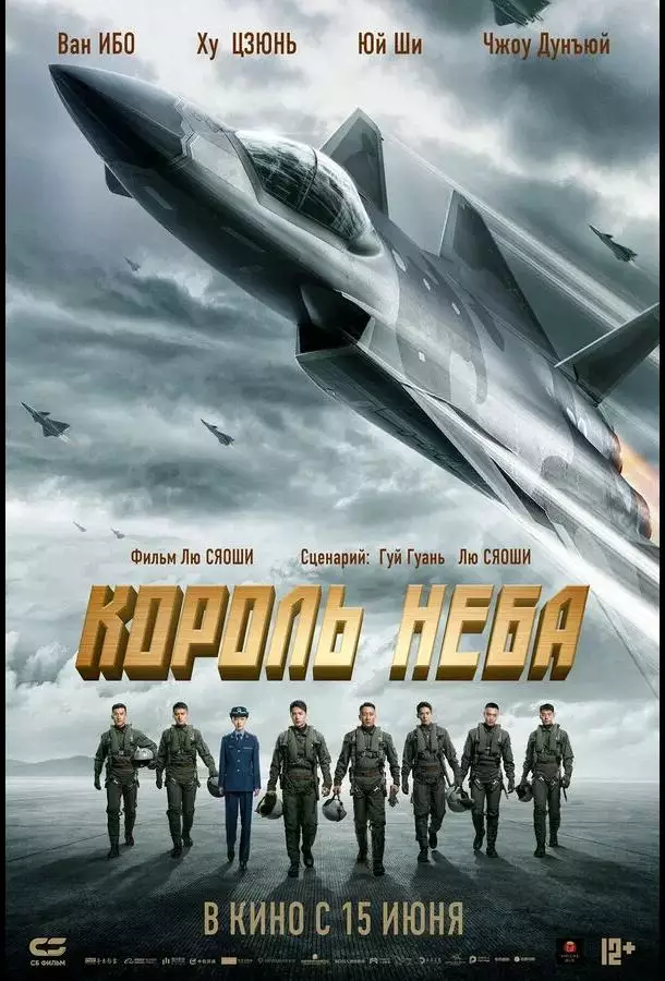 Постер сериала Король неба