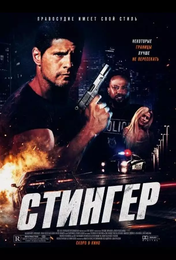 Постер сериала Стингер