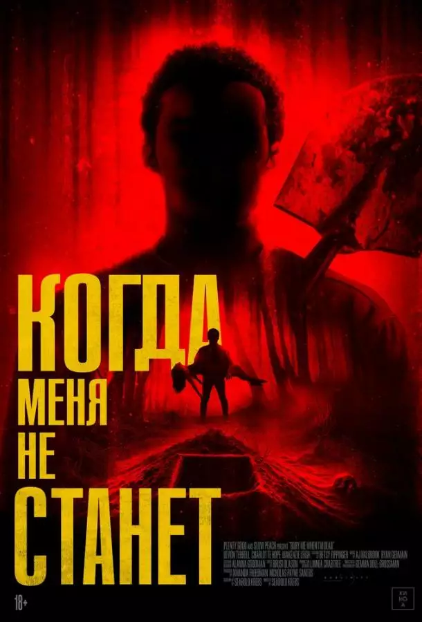 Постер сериала Когда меня не станет