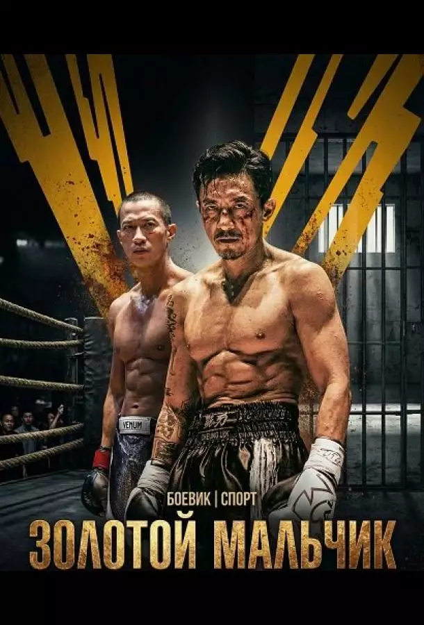 Постер сериала Золотой мальчик