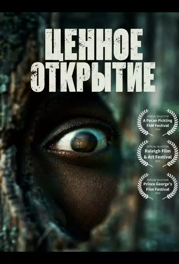 Постер сериала Ценное открытие