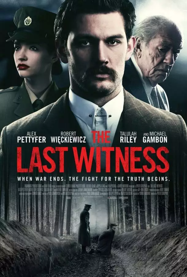 Постер сериала Последний свидетель