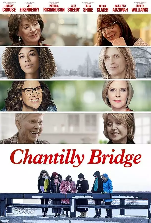 Постер сериала Мост шантильи