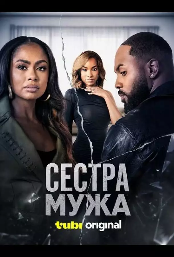Постер сериала Сестра мужа