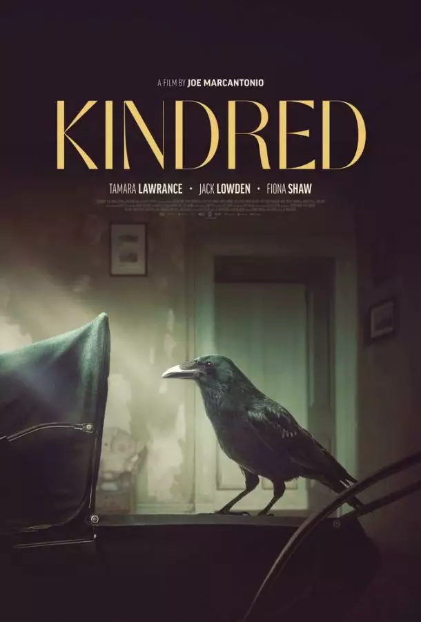 Постер сериала Родство