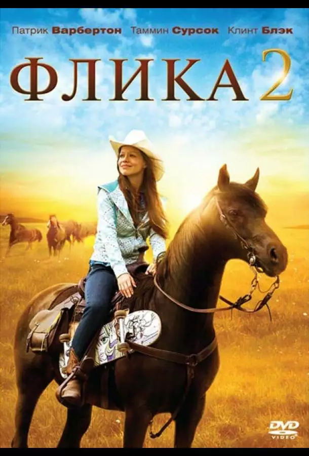 Постер сериала Флика 2