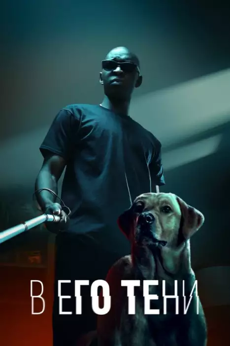 Постер сериала В его тени